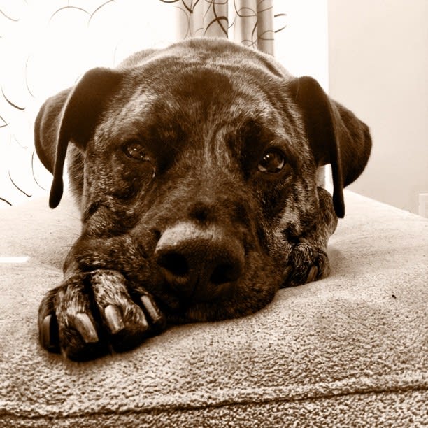 Loungin'