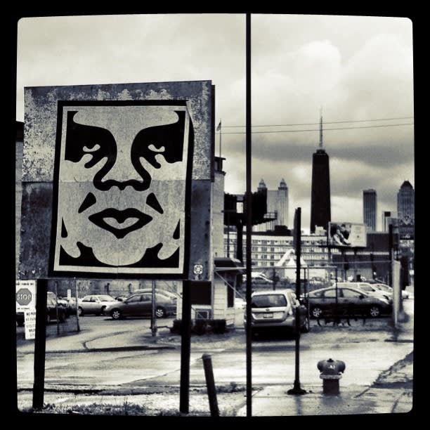 Obey