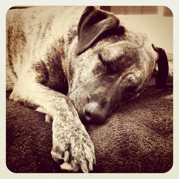 Sleepy