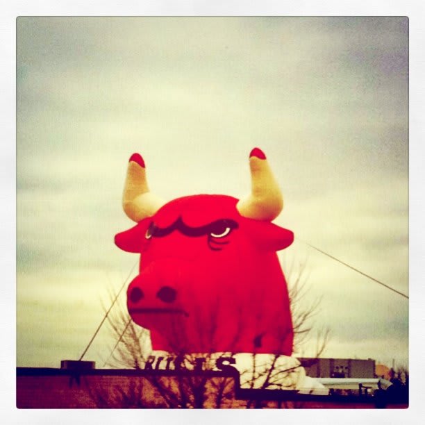Go Bulls!