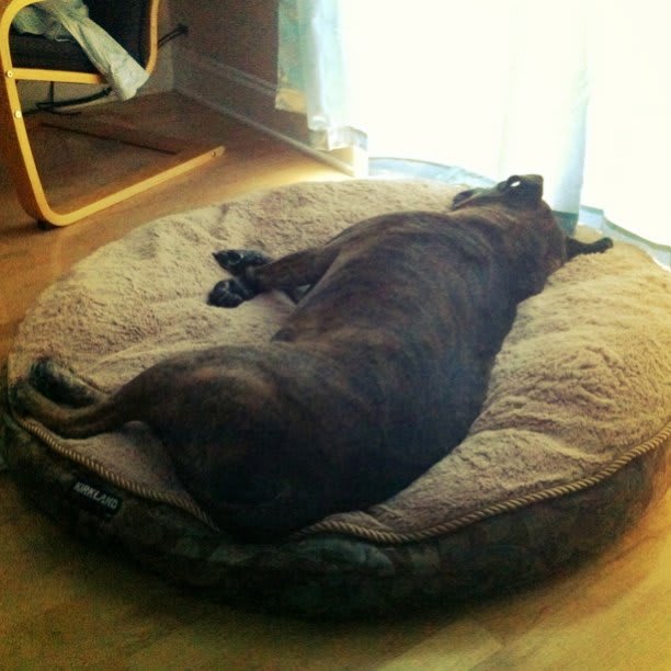 Sleepy