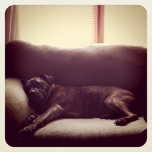 Napping