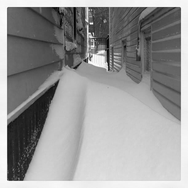 Snowpacalypse