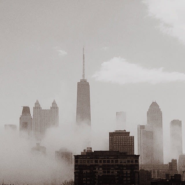 Fog #vscocam