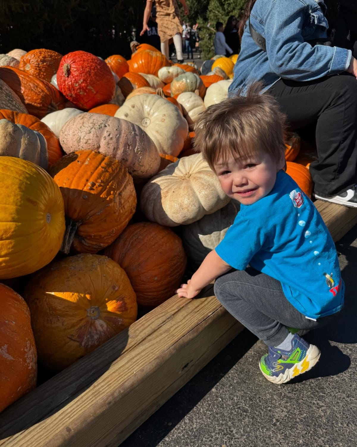Took the boys to a pumpkin farm. ❤️