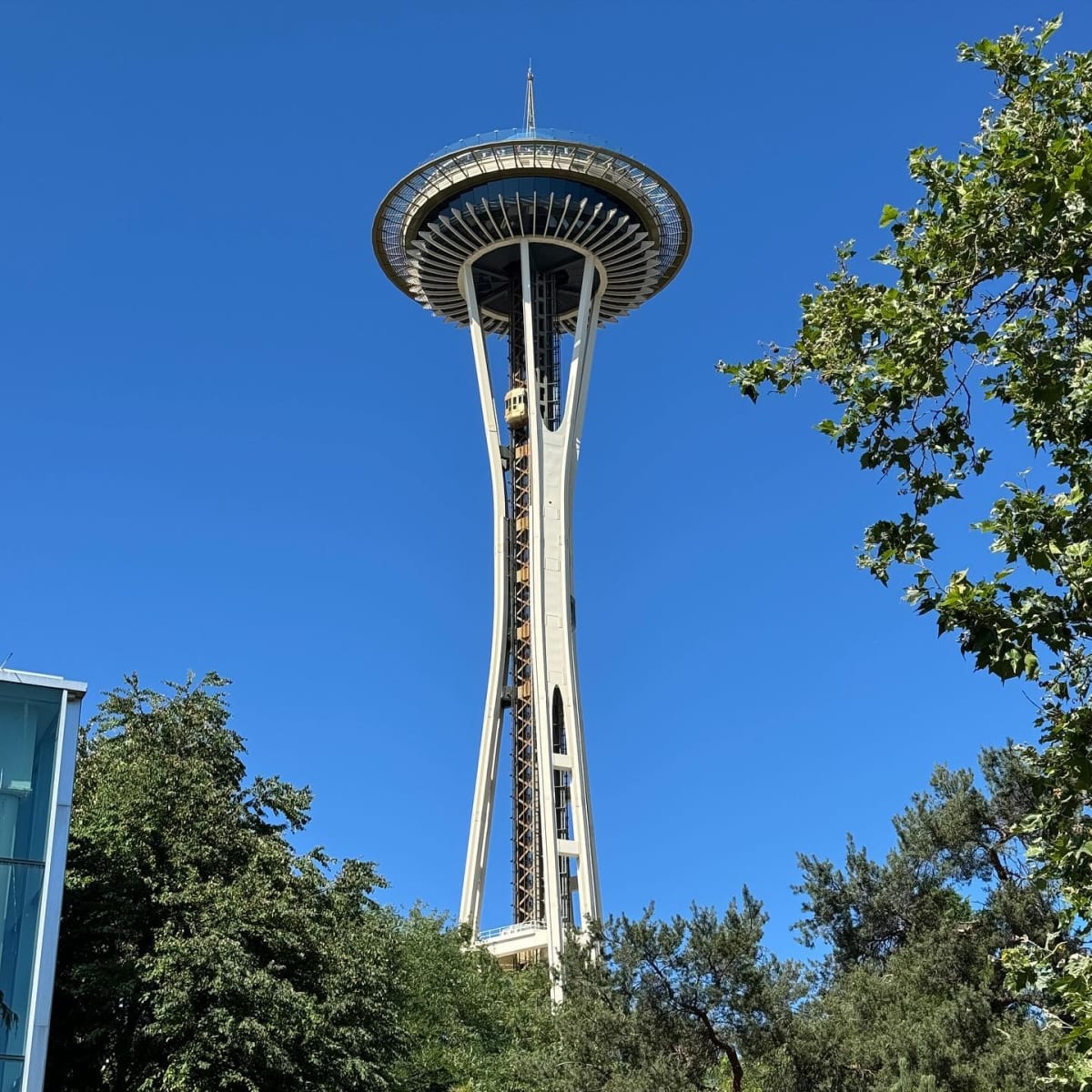 Hanging in Seattle