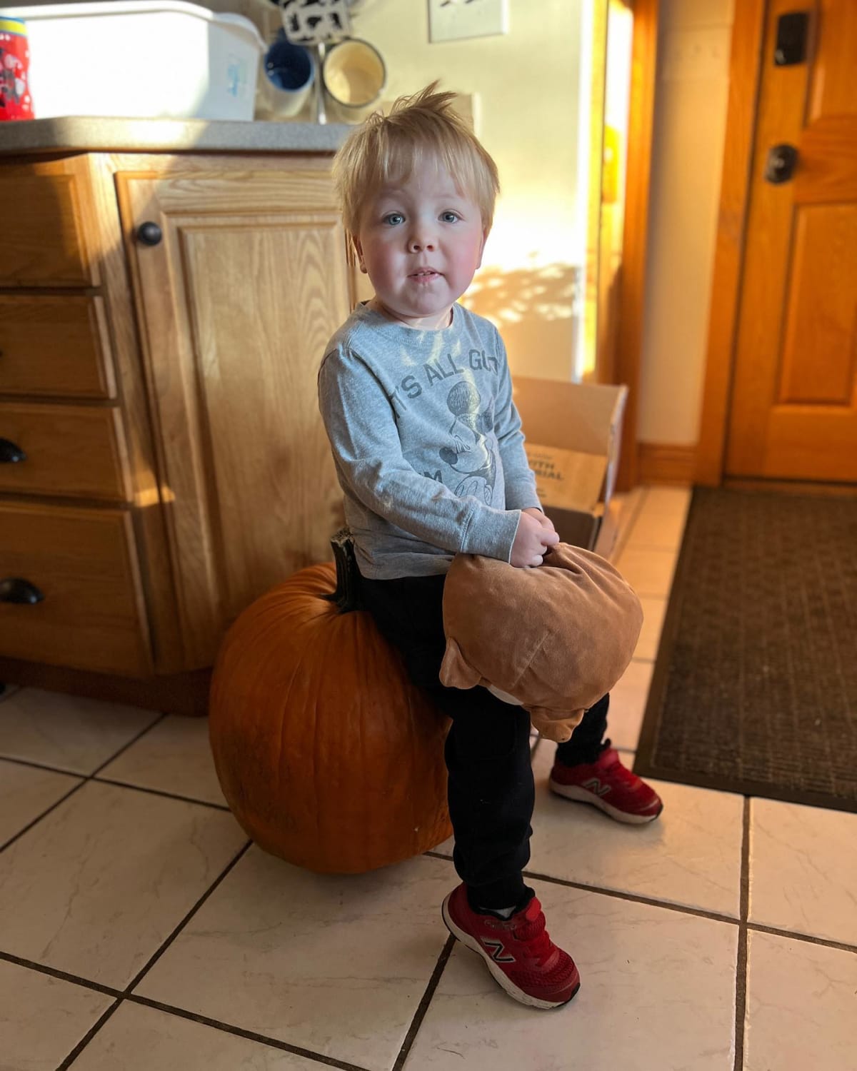 Ryan is very proud of the pumpkin he picked out.