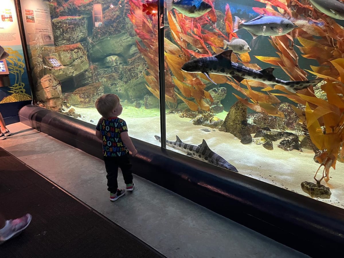 Fun time at the aquarium today!