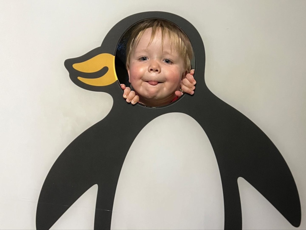 Fun time at the aquarium today!