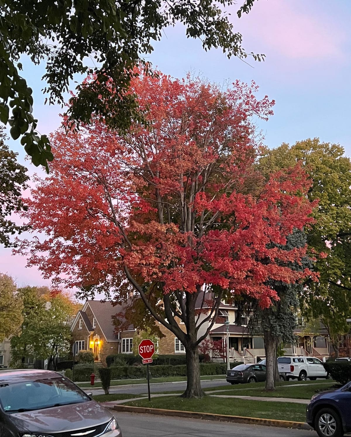 A nice fall walk tonight
