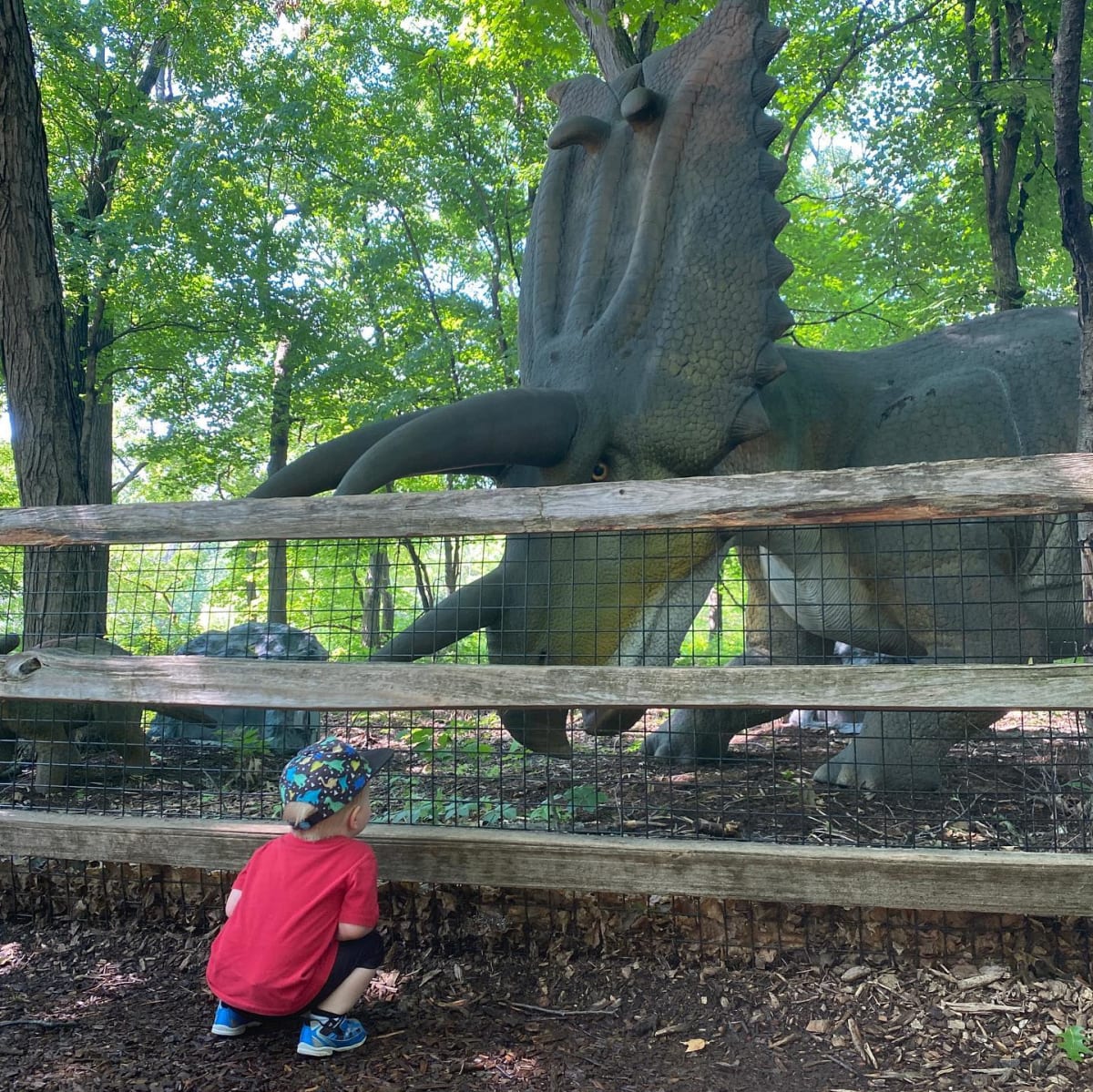 Fun times at Brookfield Zoo!