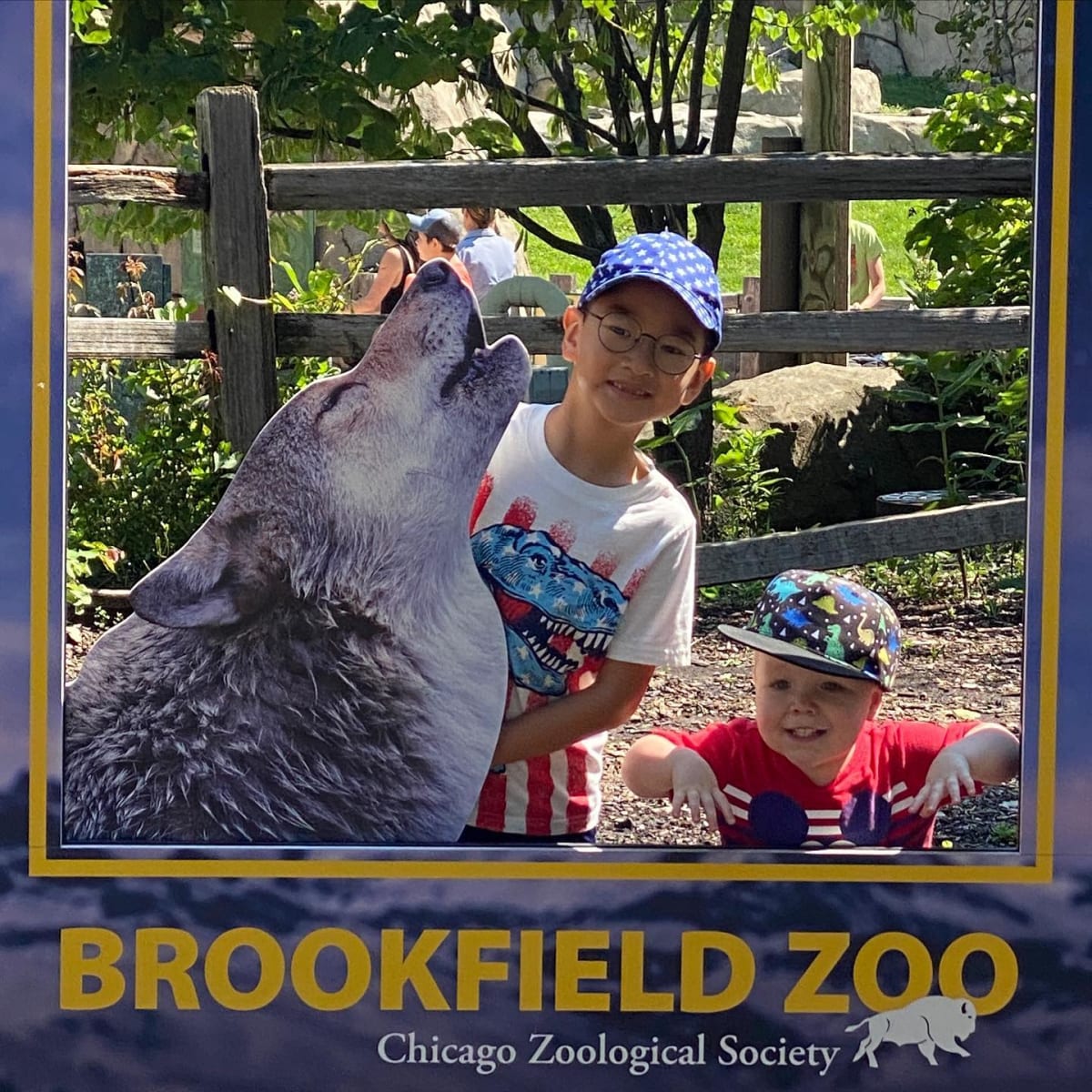 Fun times at Brookfield Zoo!