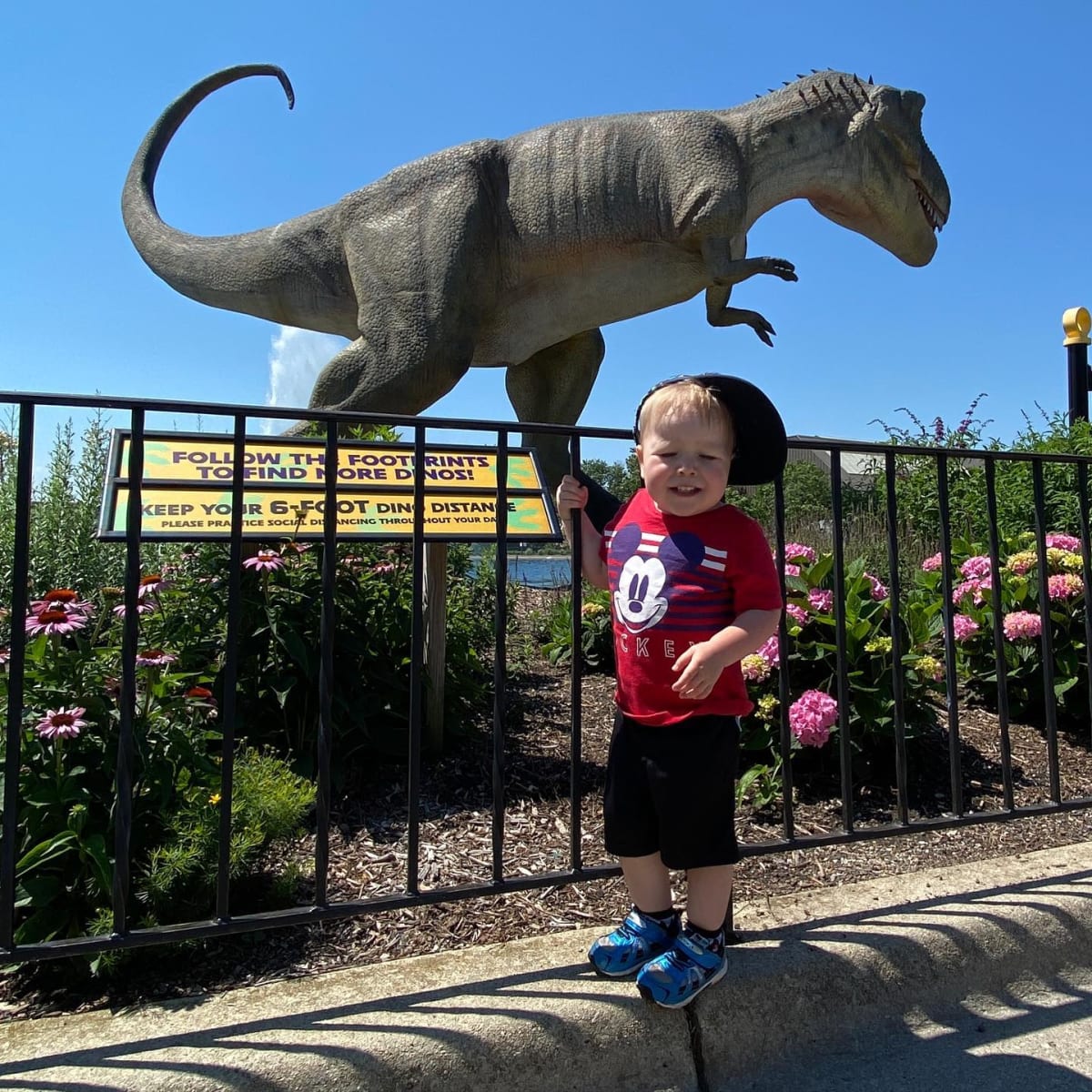 Fun times at Brookfield Zoo!