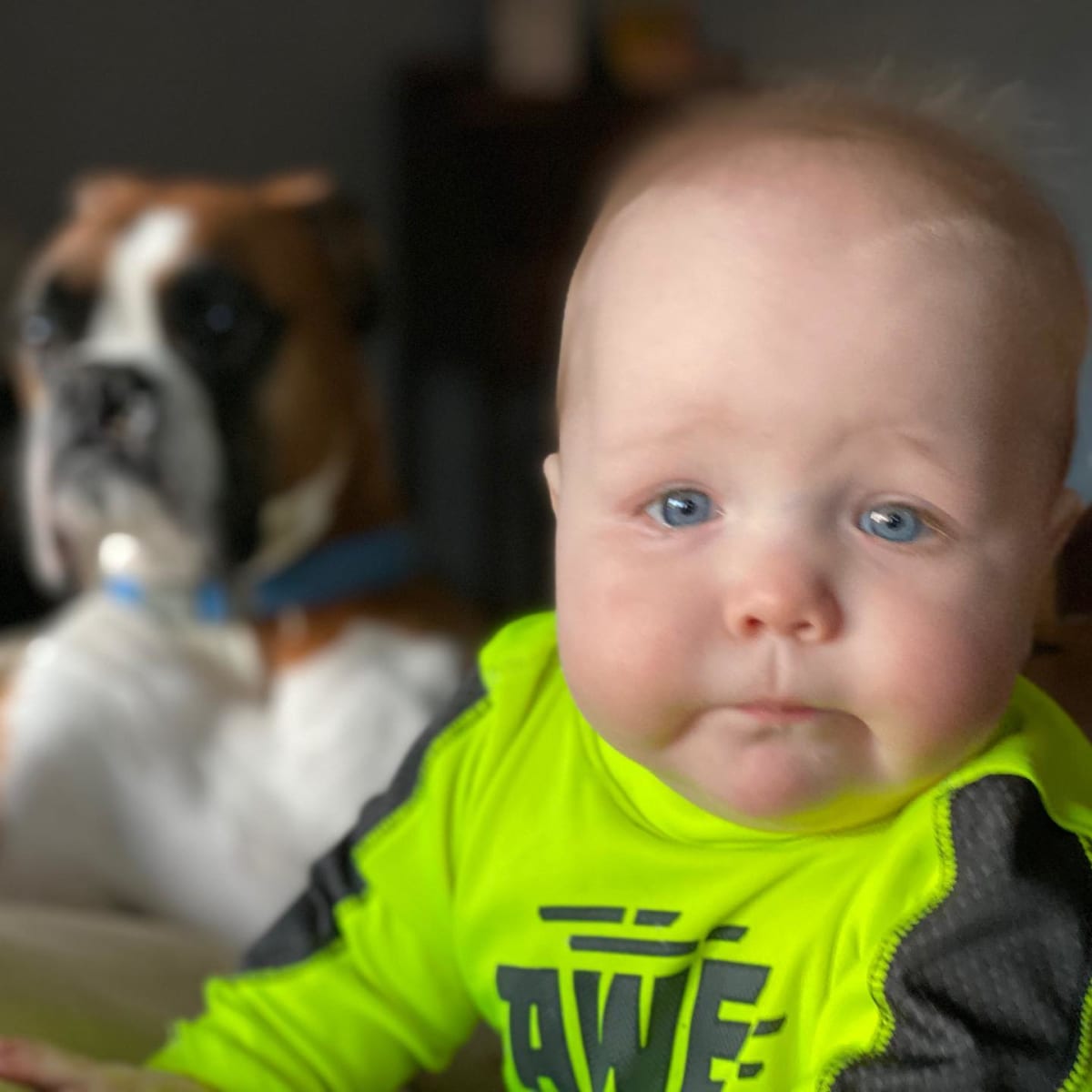 These two love looking out the window