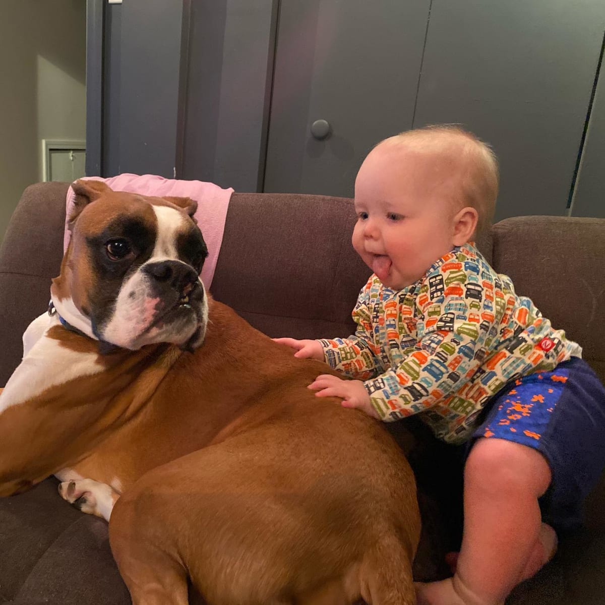 Pretending to be a dog