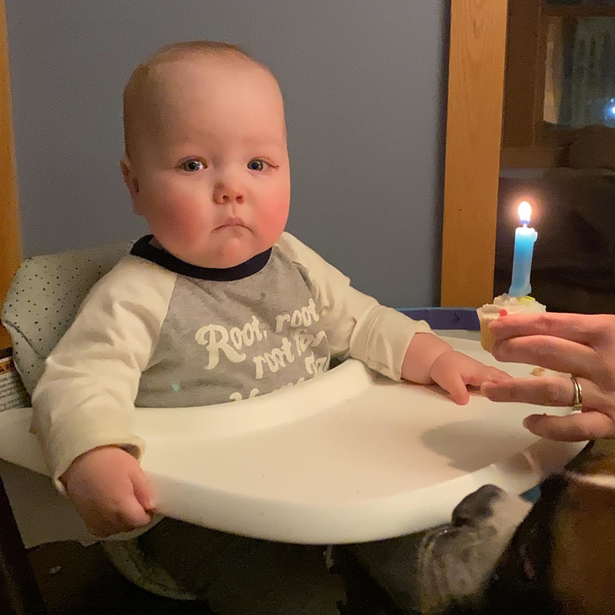 Happy 1st birthday!