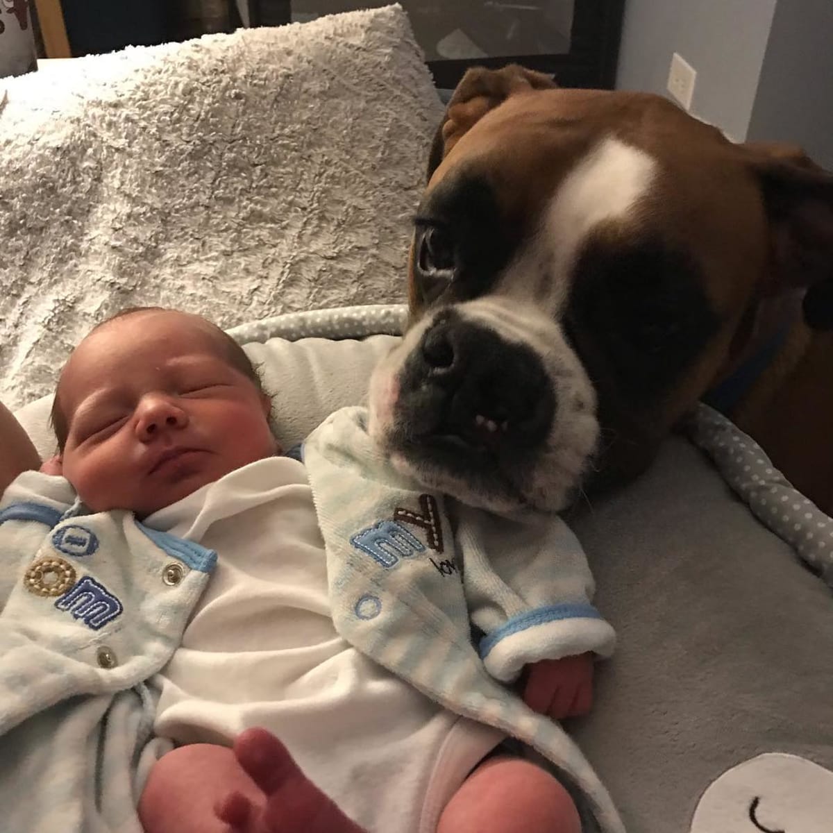 Big brother
