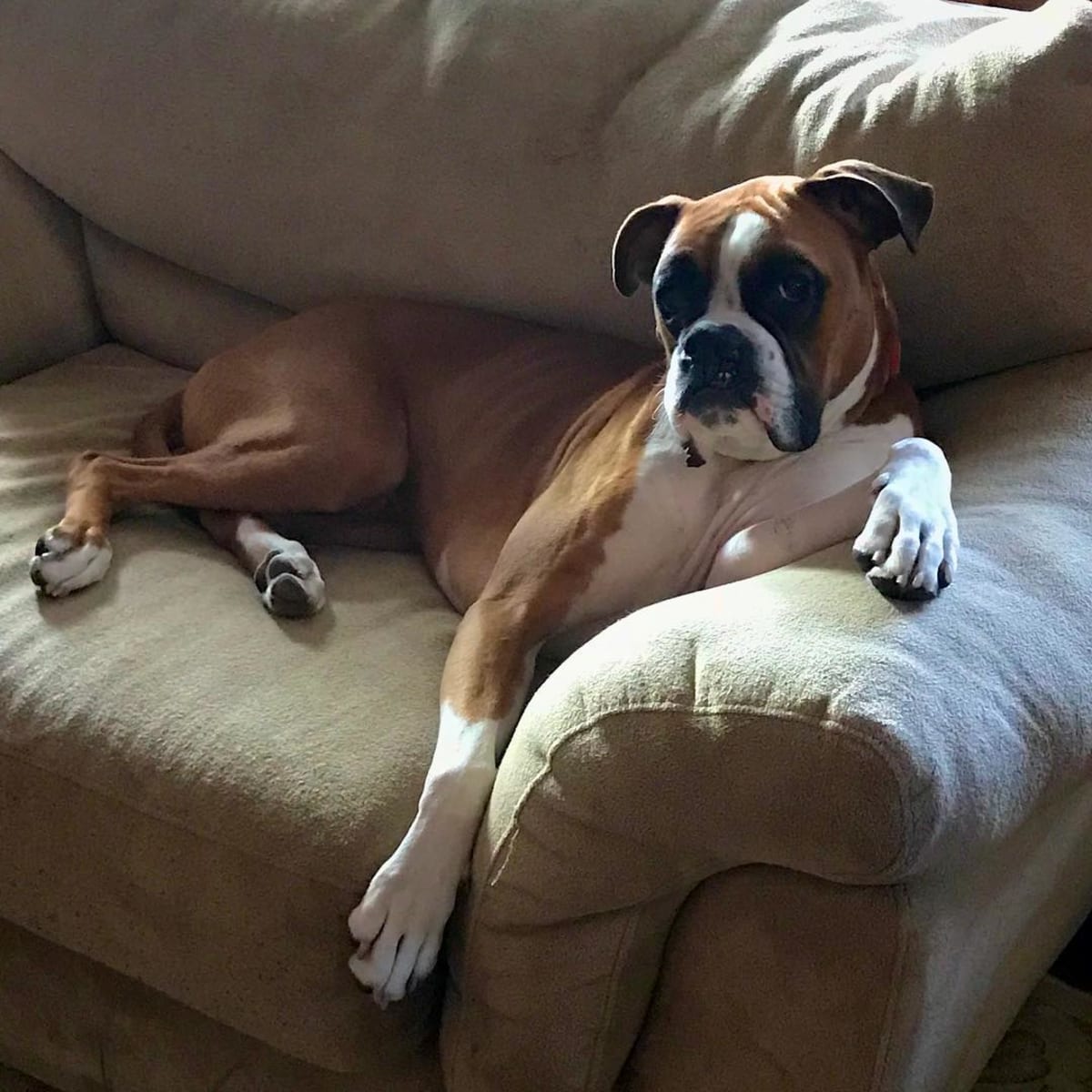 Man of Leisure