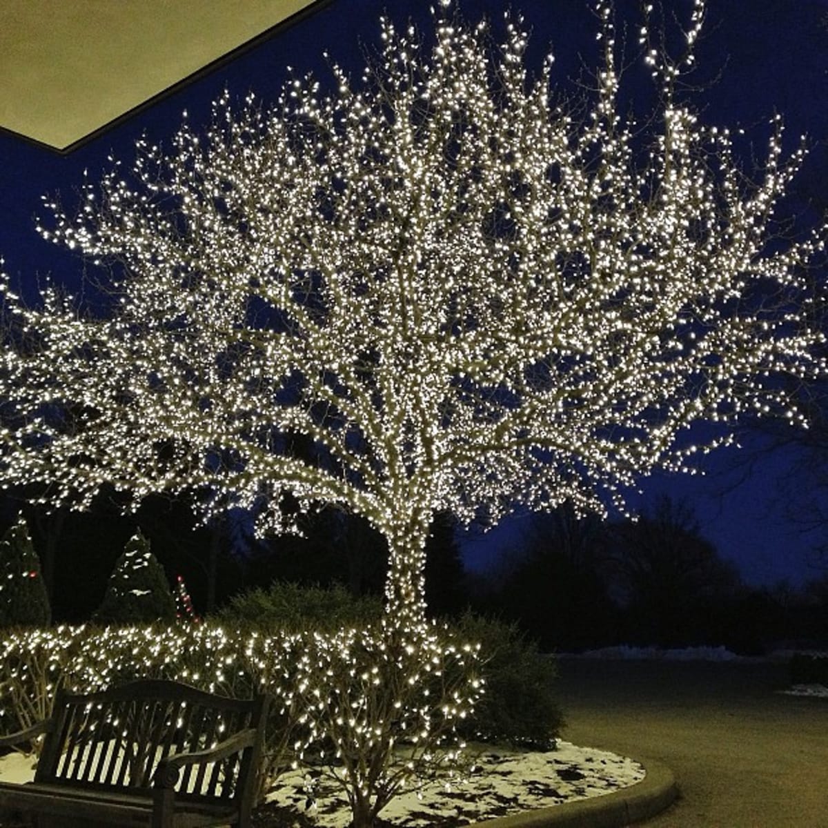Lights