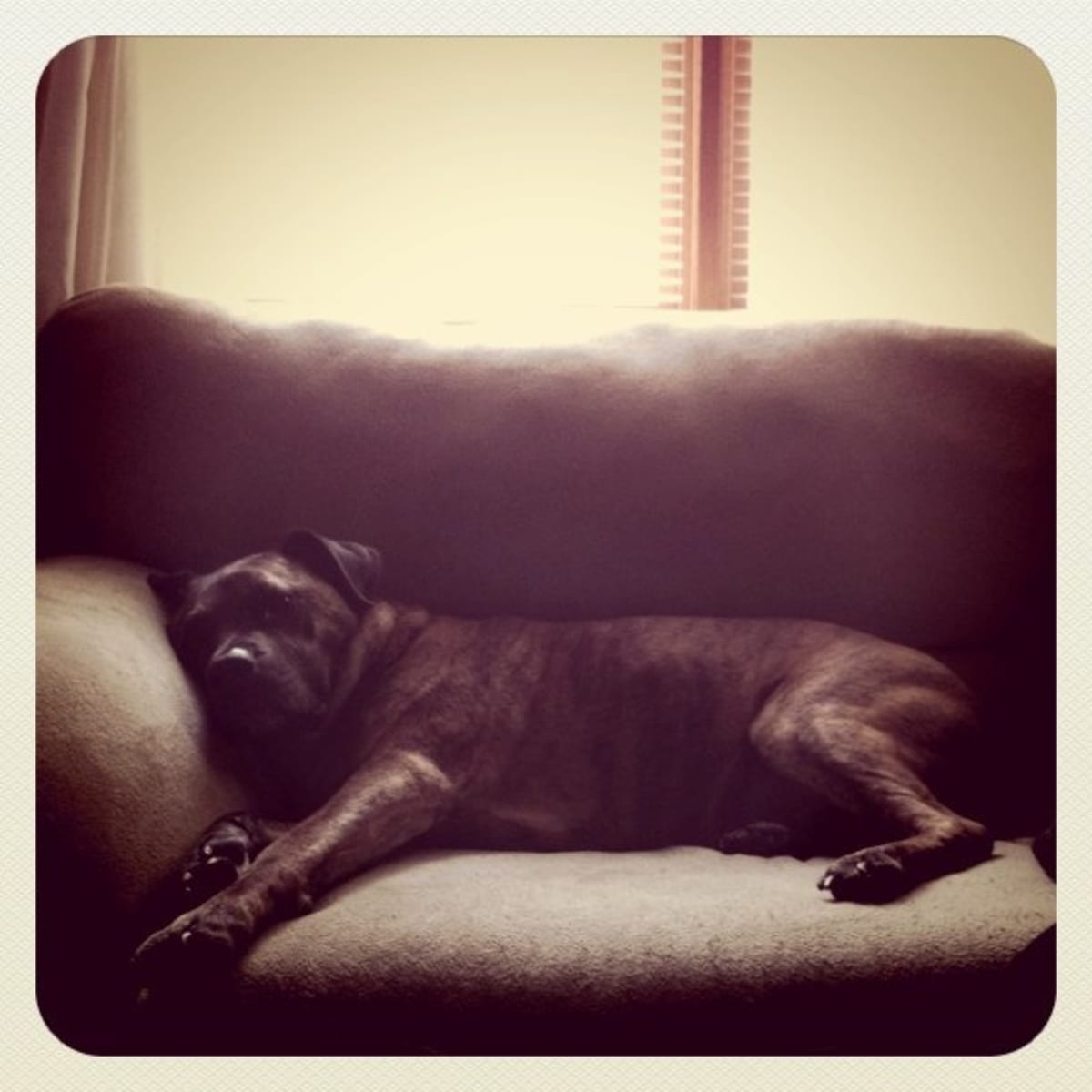 Napping