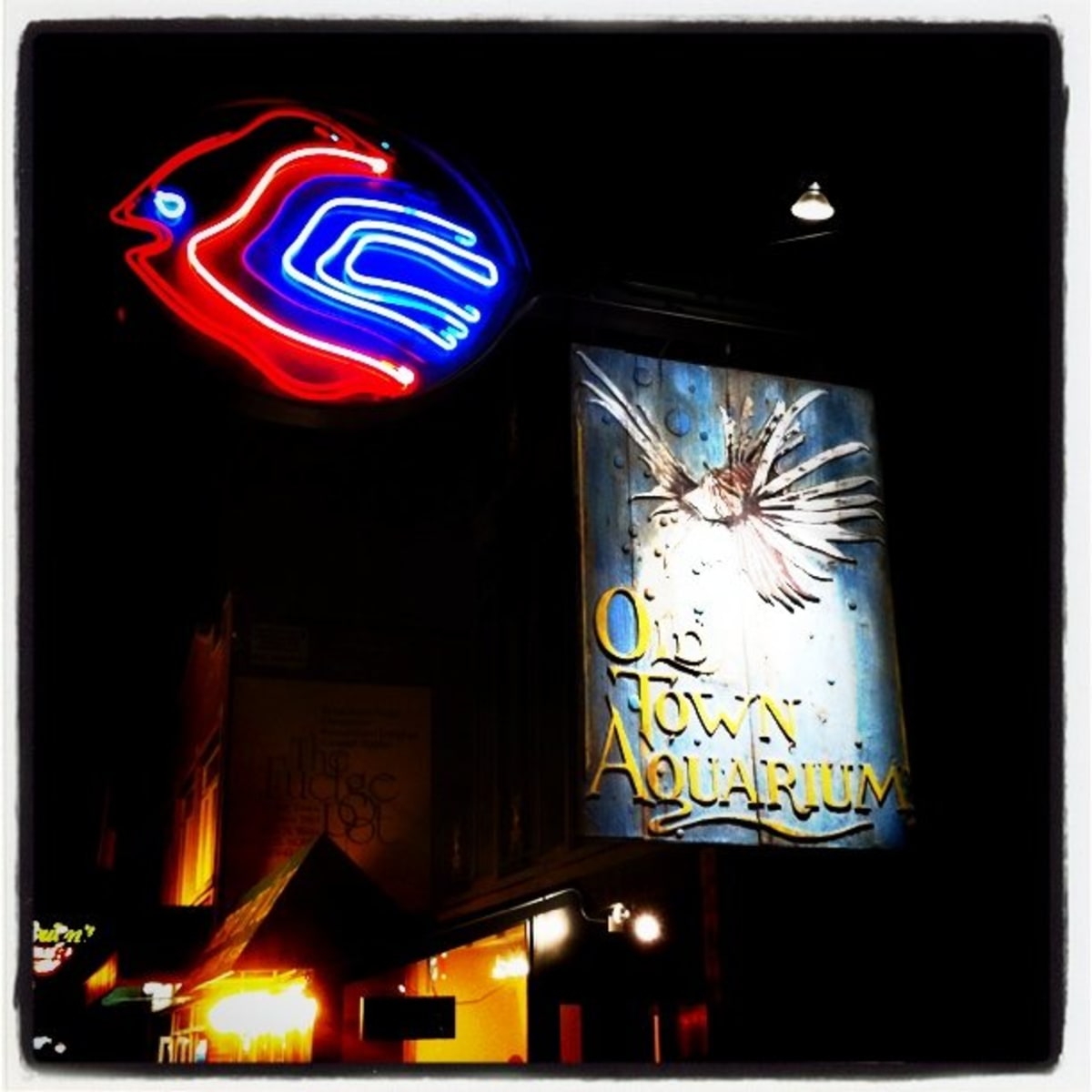 Old Town Aquarium
