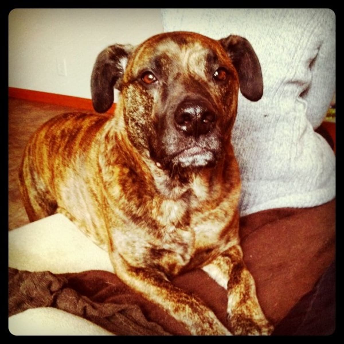Beggar