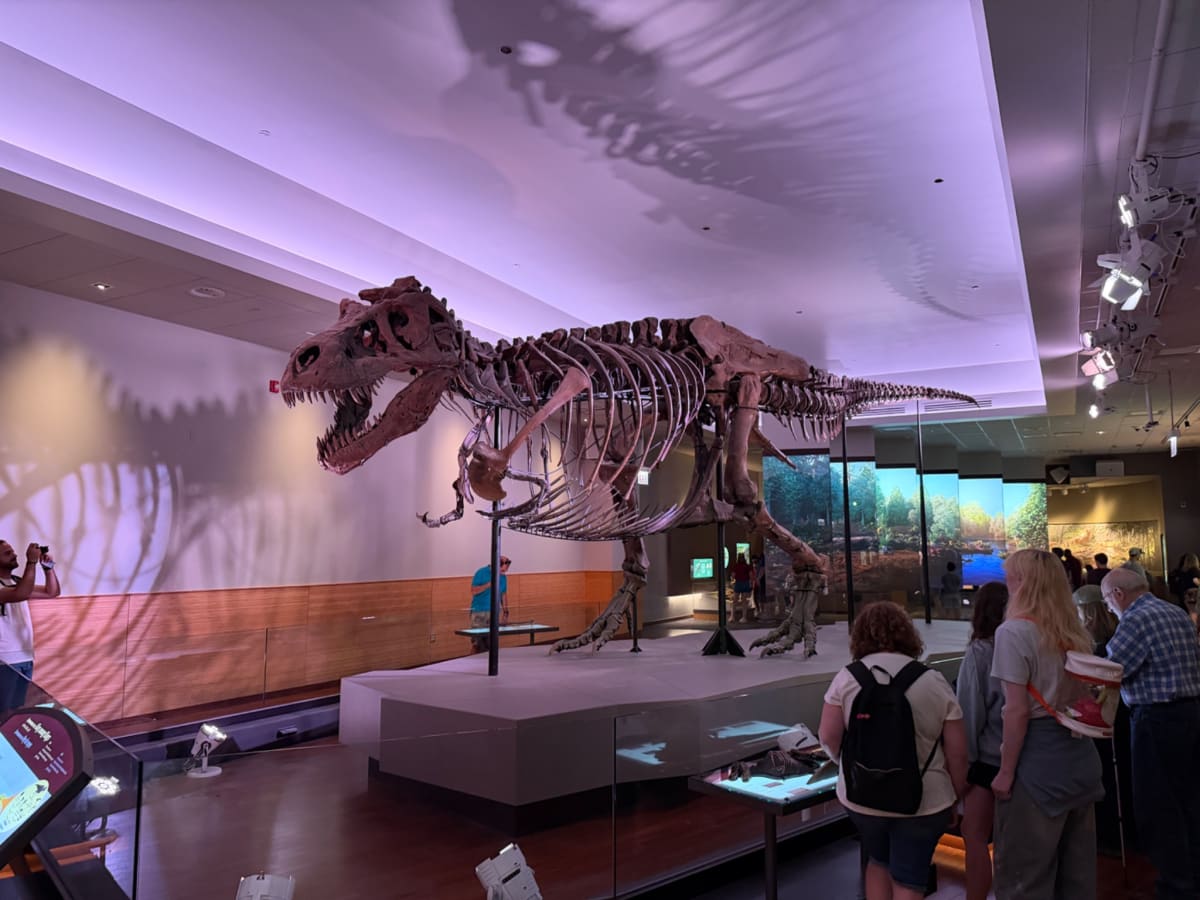Pokémon fossil exhibit at the Field Museum