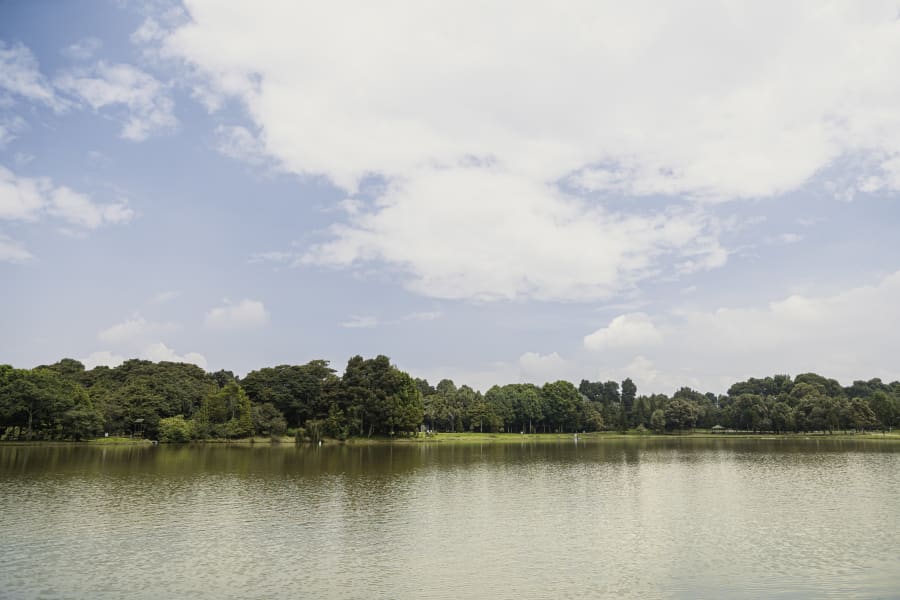 Parque Simón Bolívar 651