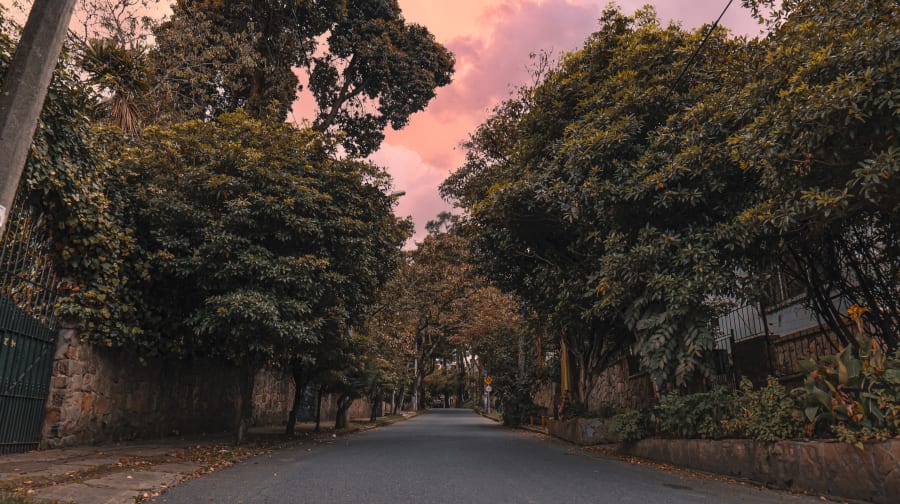 Bosque Izquierdo 471