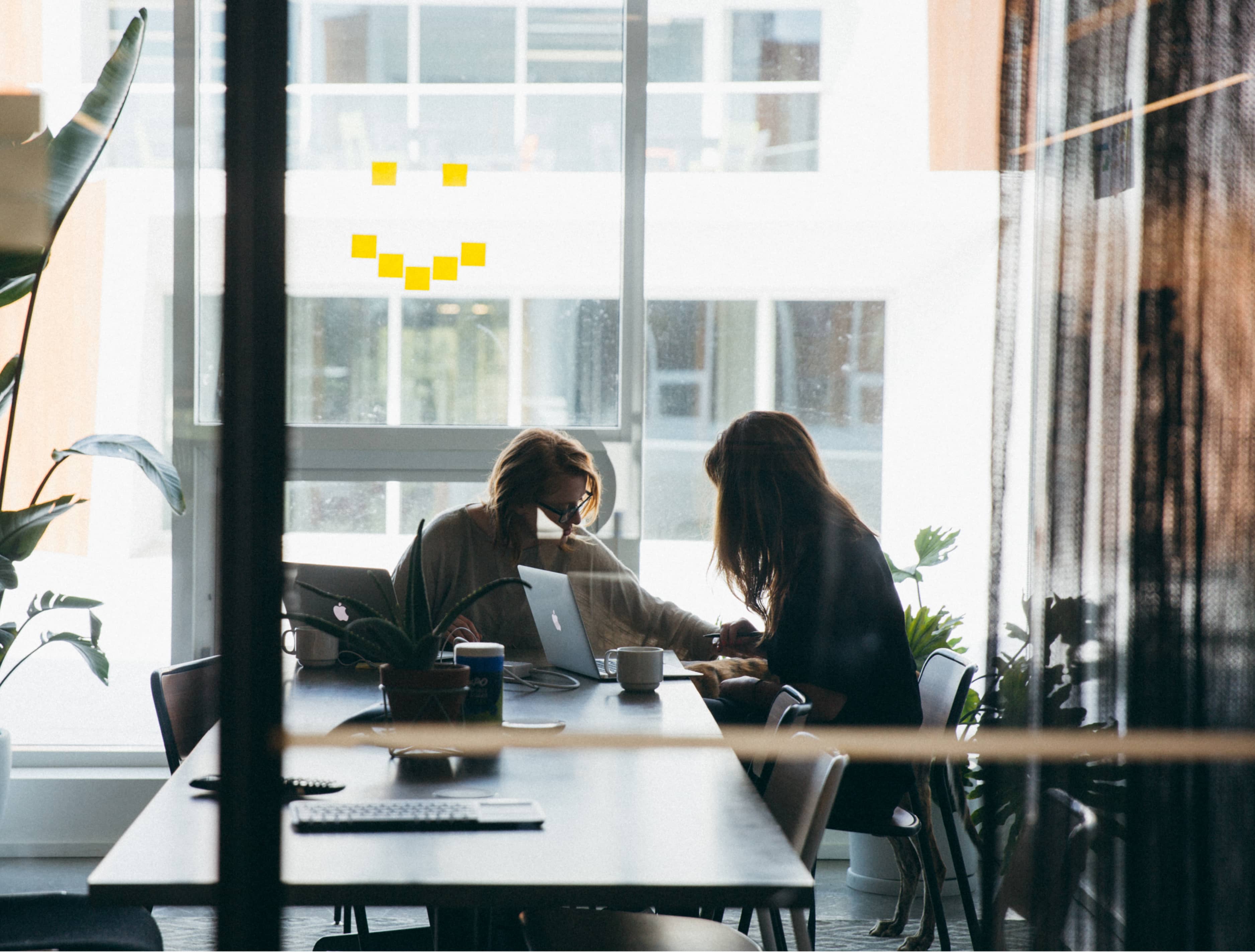 Two Instrument team members working together in a conference room