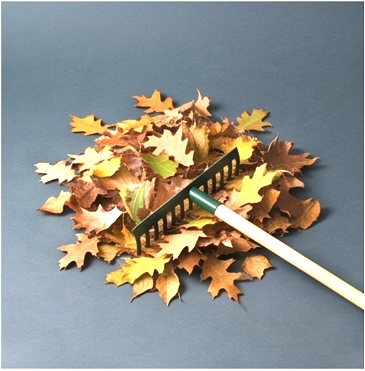 Raking