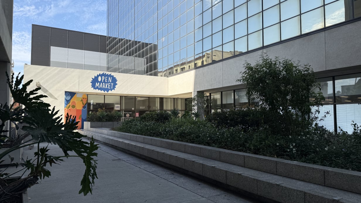 Language Systems Downtown LA