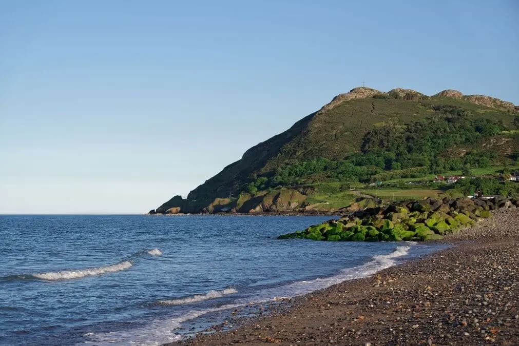 Bray