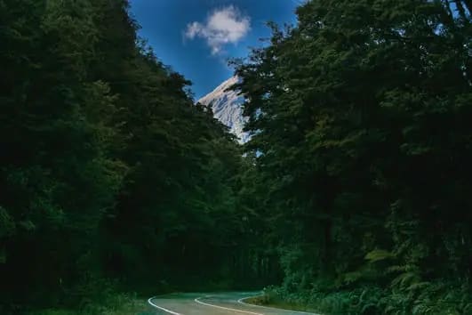 Fiordland National Park