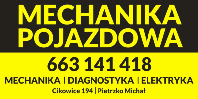 MICHAŁ PIETRZKO MECHANIKA POJAZDOWA