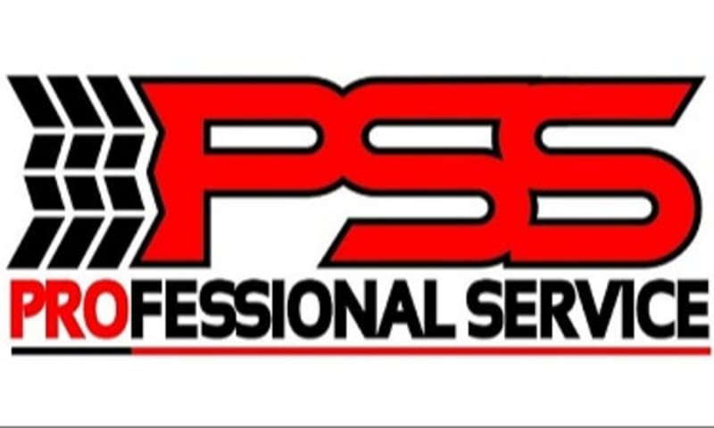 PROFESSIONAL SERVICE