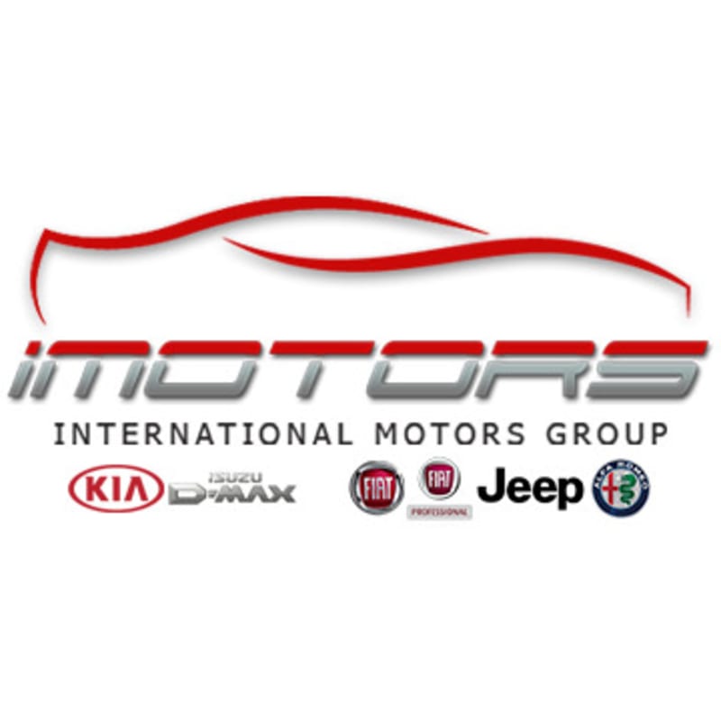INTERNATIONAL MOTORS GROUP