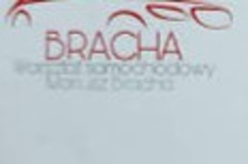 BRACHA 2.jpg