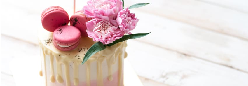 Carnations Cake Decoration