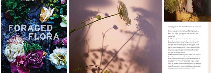 the language of flowers odessa begay