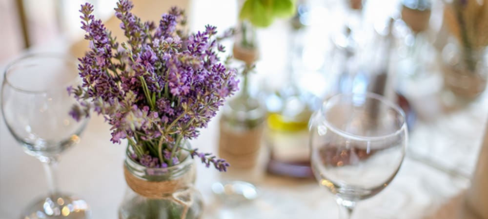 Lavender Flowers