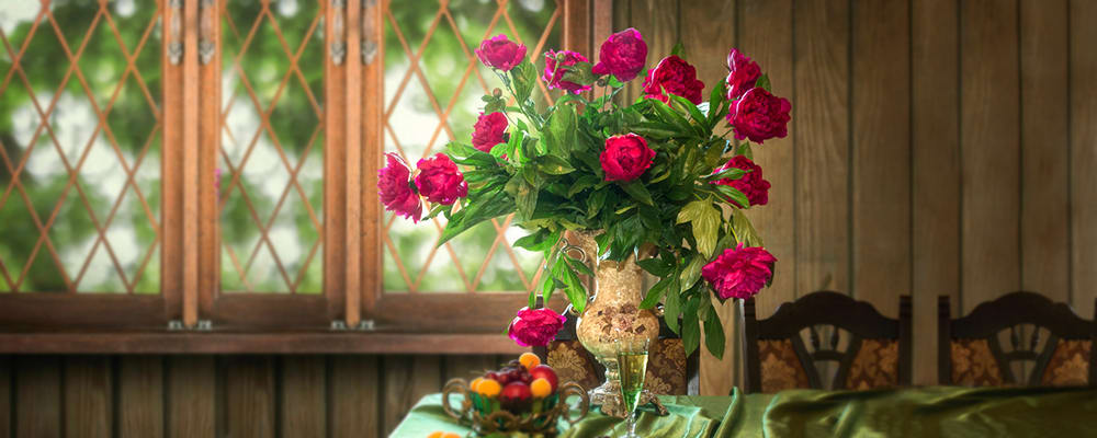 Magenta Peony