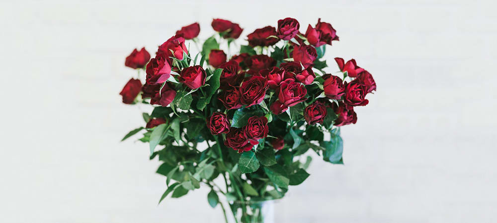 Red Roses