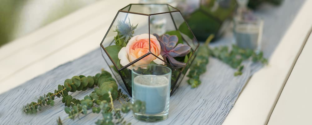 Succulents in Terrarium Pot