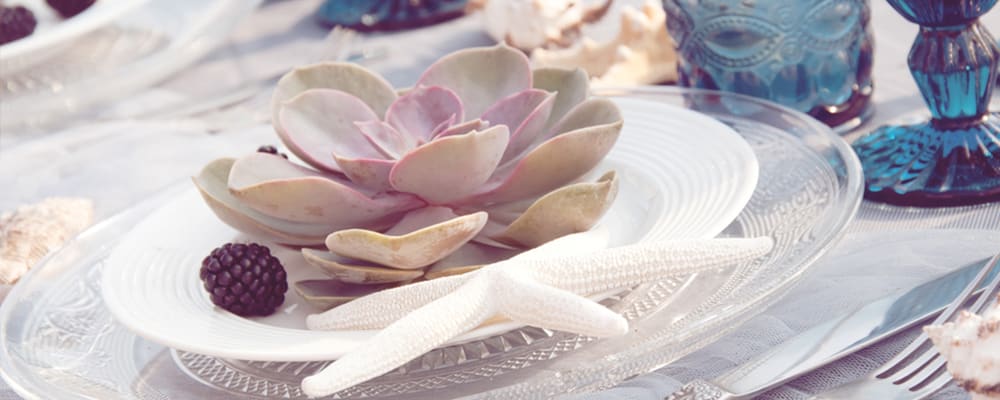 Succulents on Dinner Table