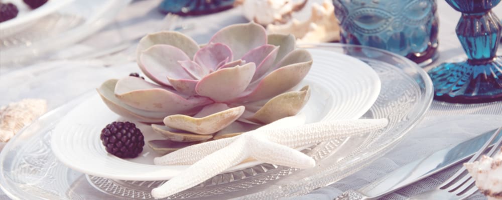 Succulents-on-Dinner-Table