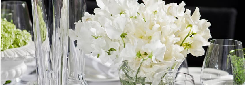 White Sweet Peas