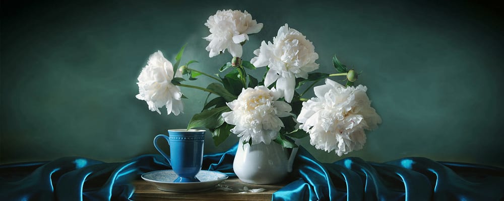 White Peonies
