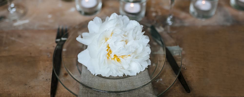 White-Peony-Centerpiece