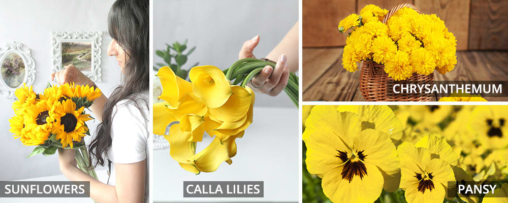 4 Type of Yellow Spring Flowers